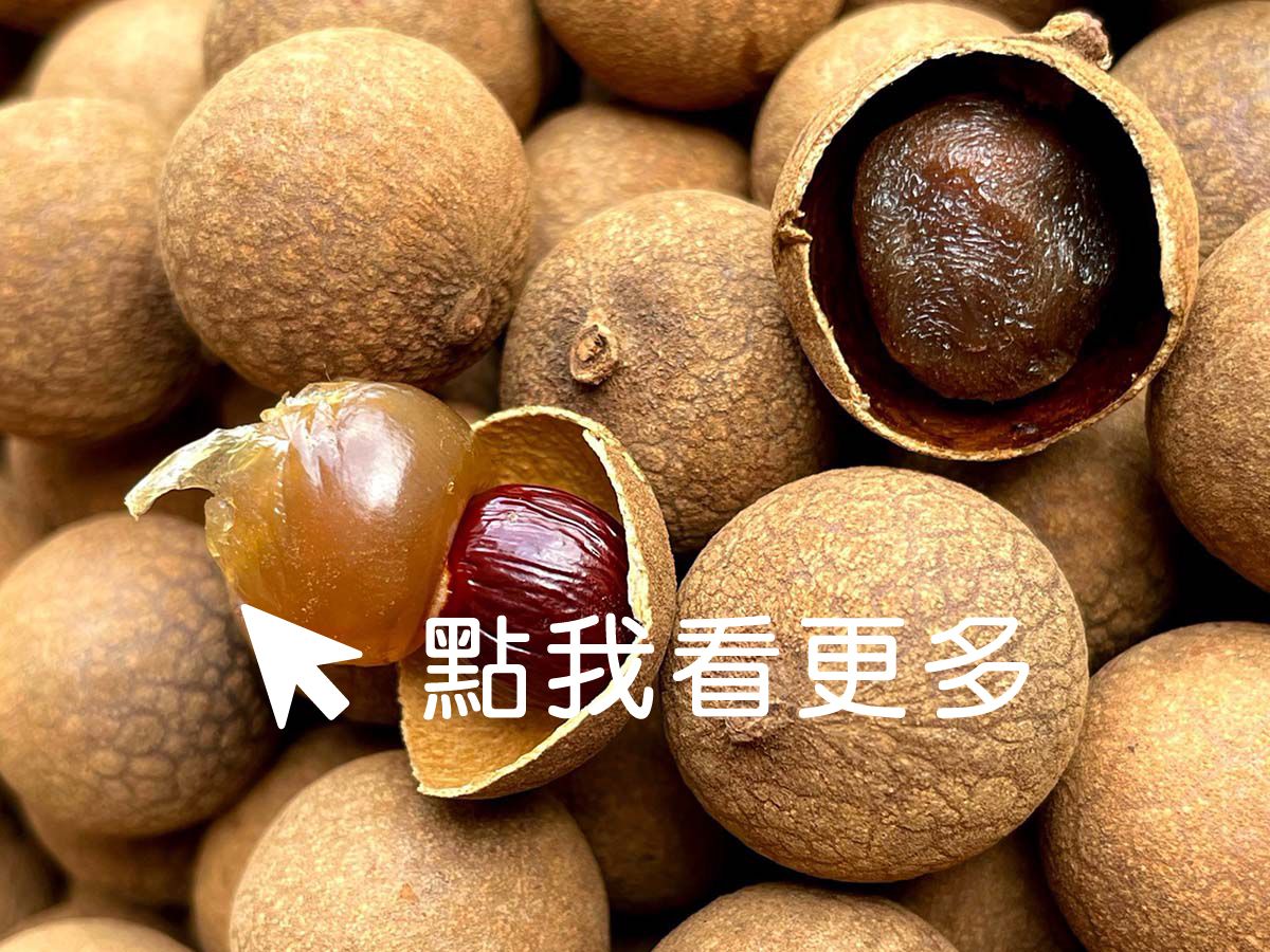 2026柴焙桂圓/龍眼乾 限量販售