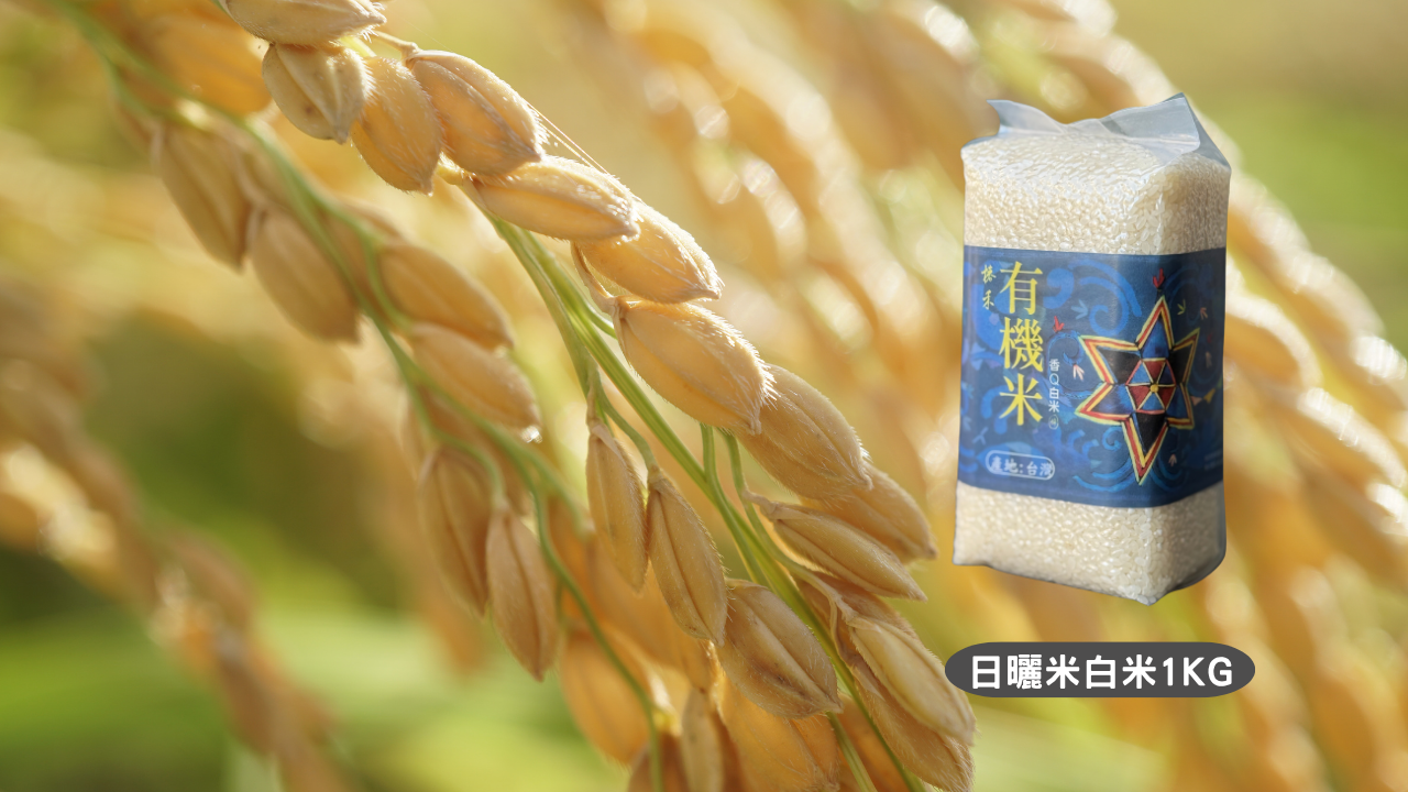 日曬｜椿禾有機白米