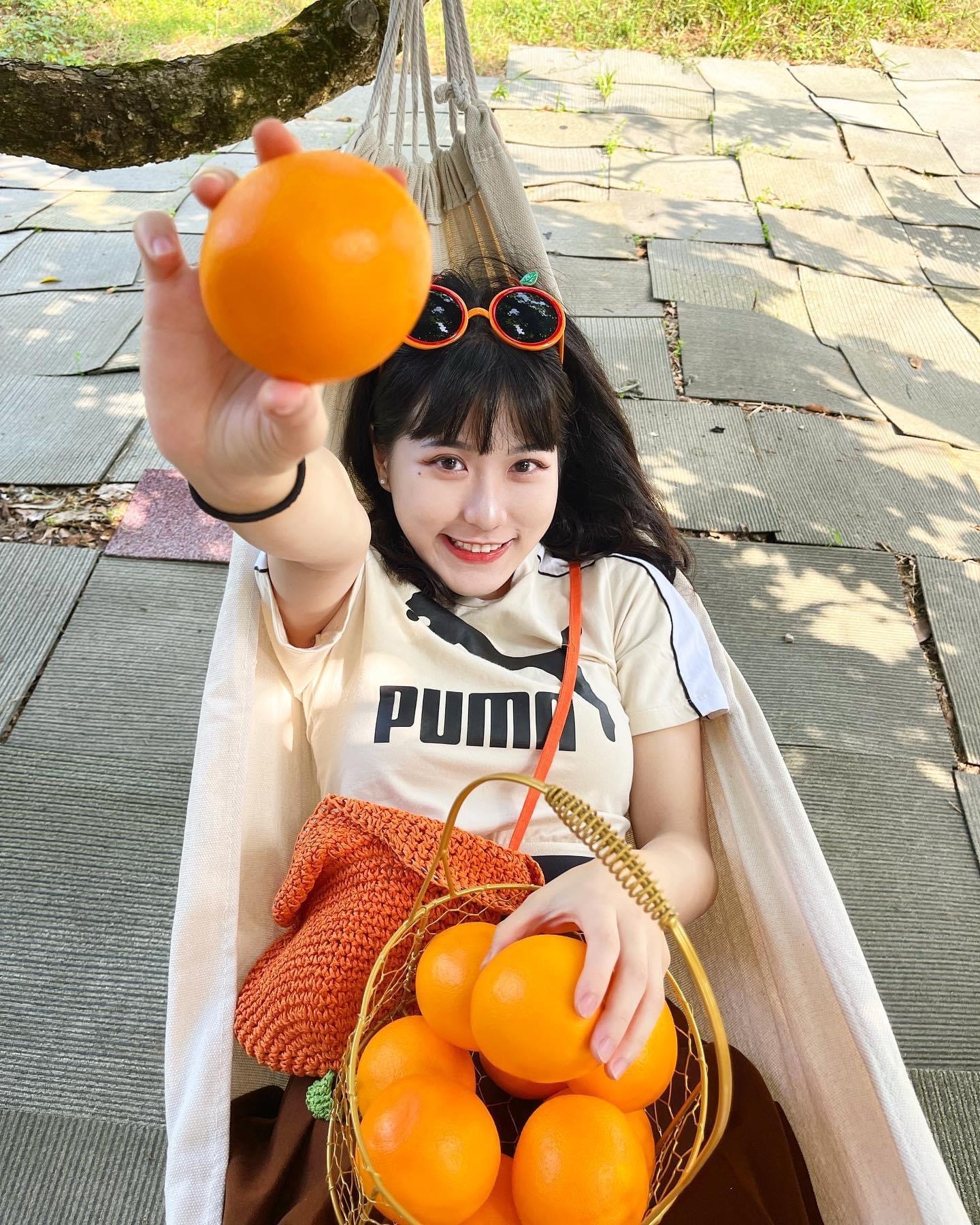🍊柳丁酷墨鏡 🍊採果必備造型墨鏡