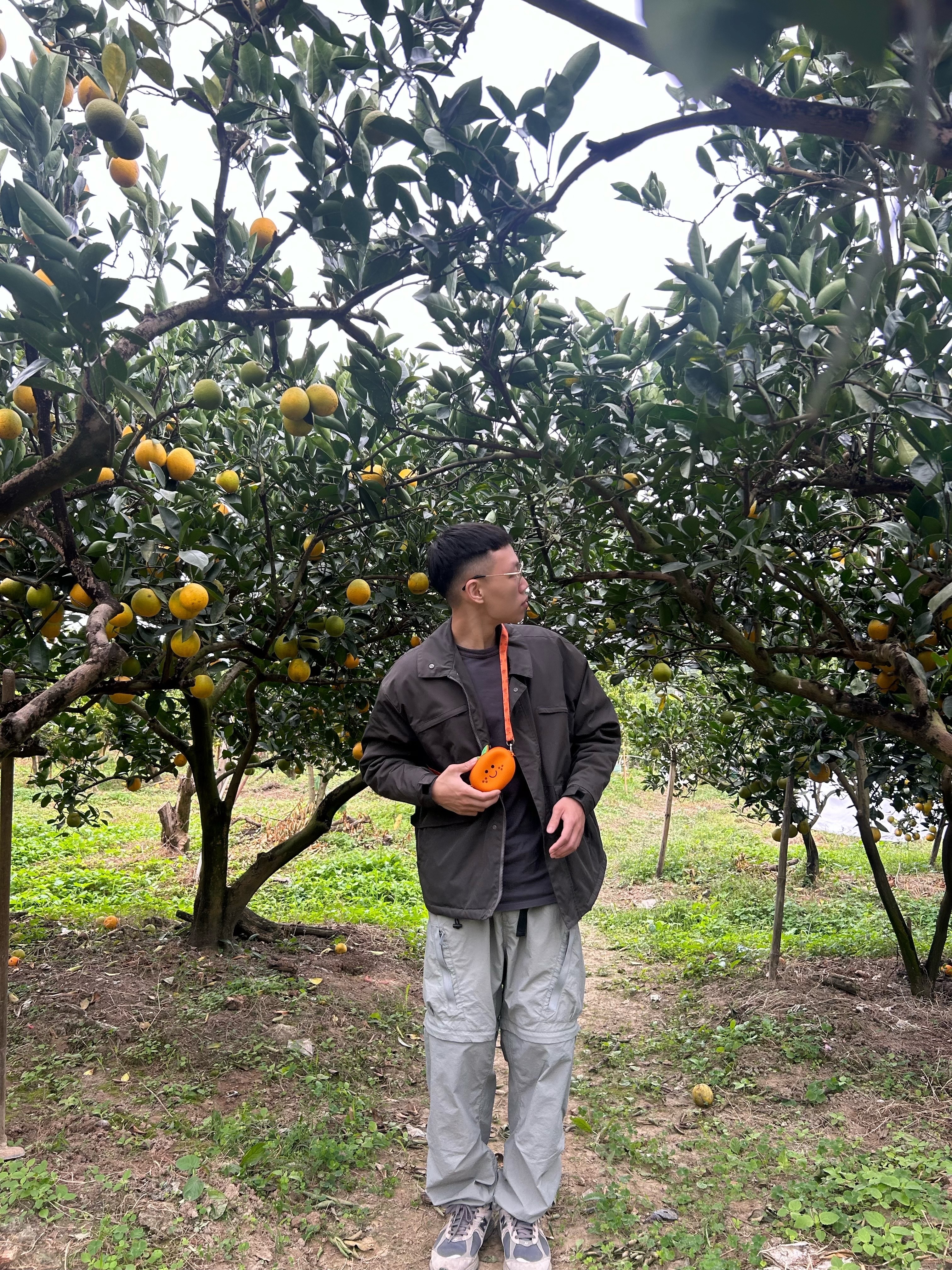 🍊柳丁笑臉包🍊