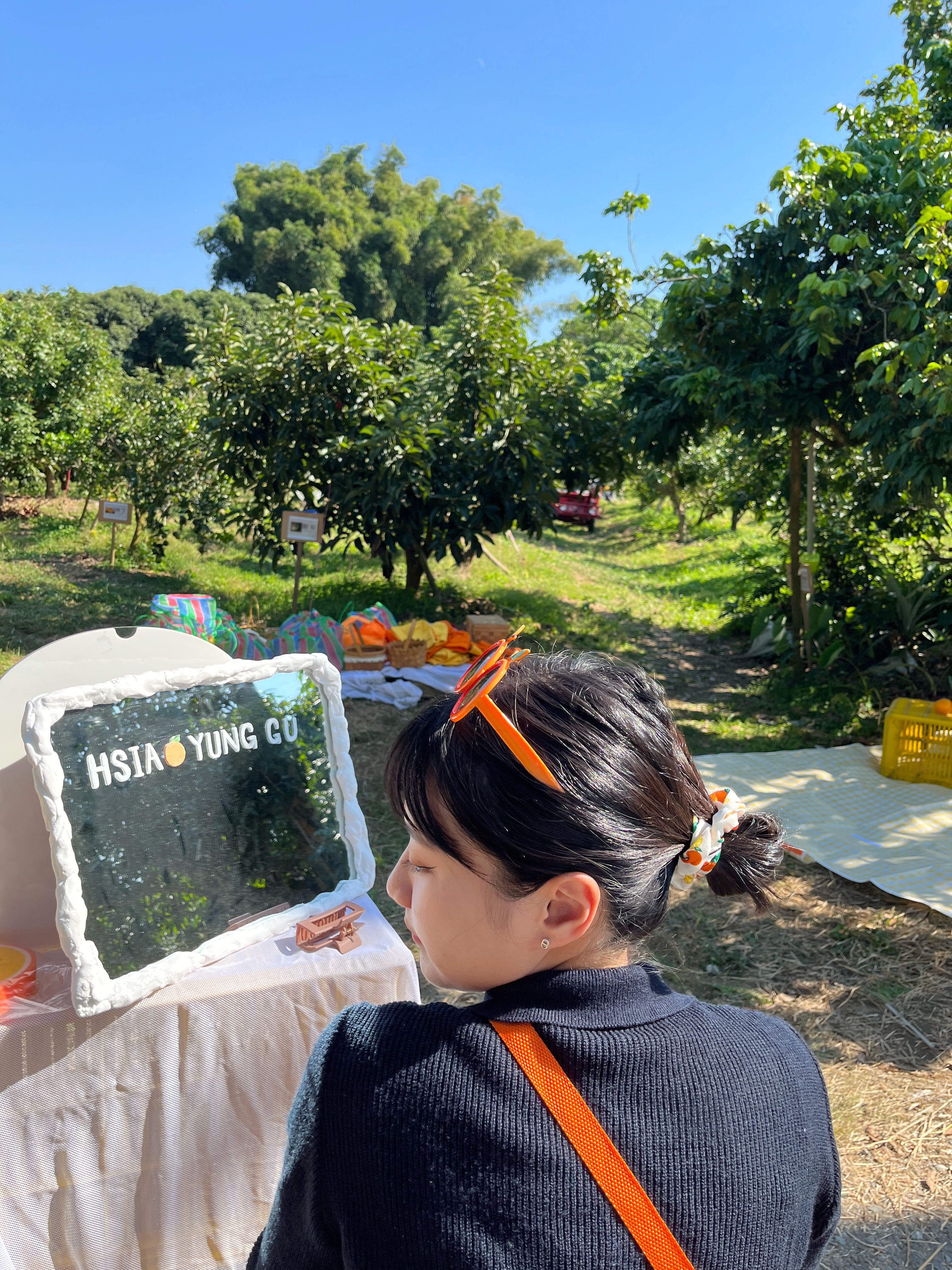 🍊柳丁大腸髮圈🍊