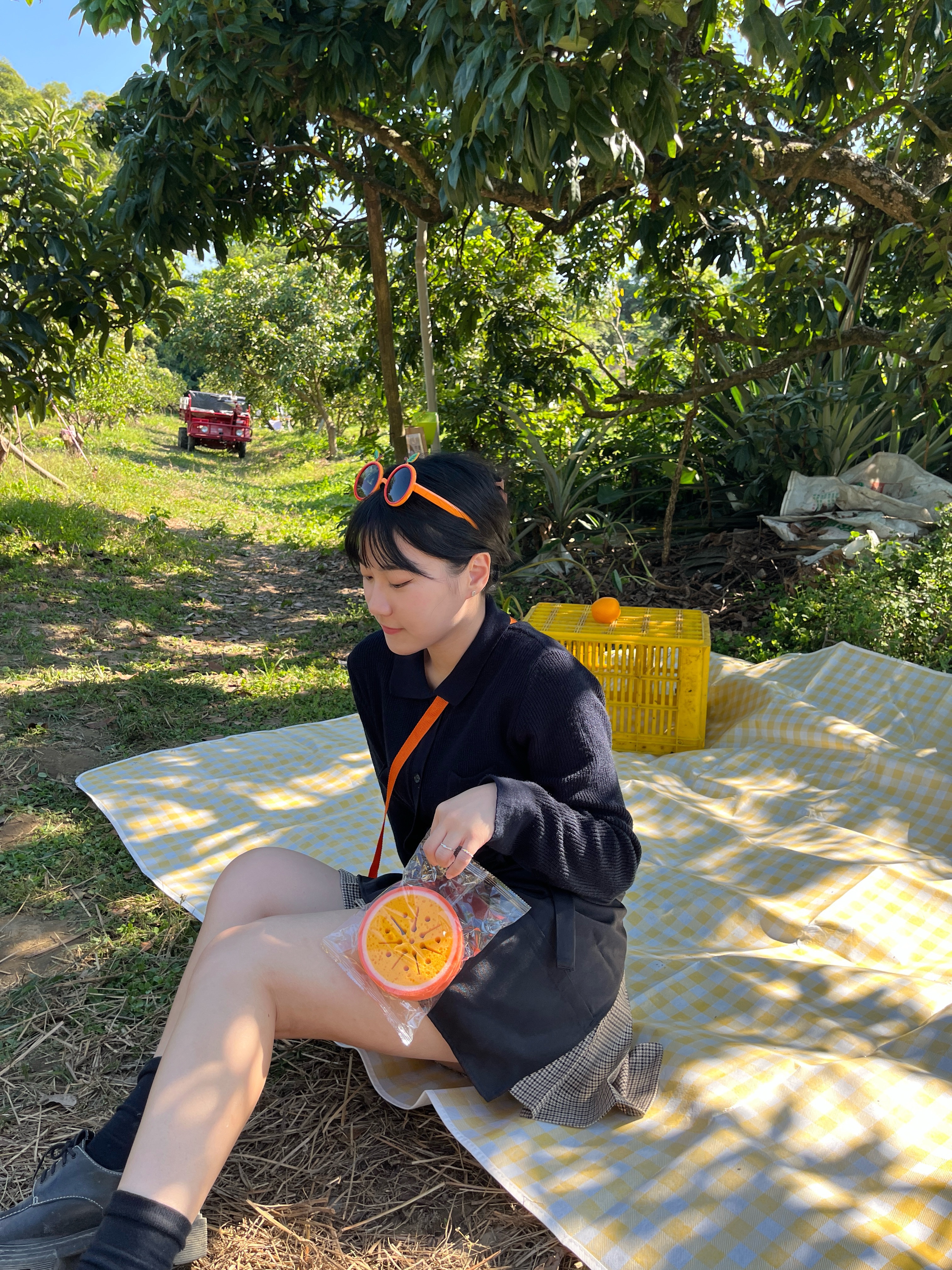 🍊柳丁海綿刷🍊
