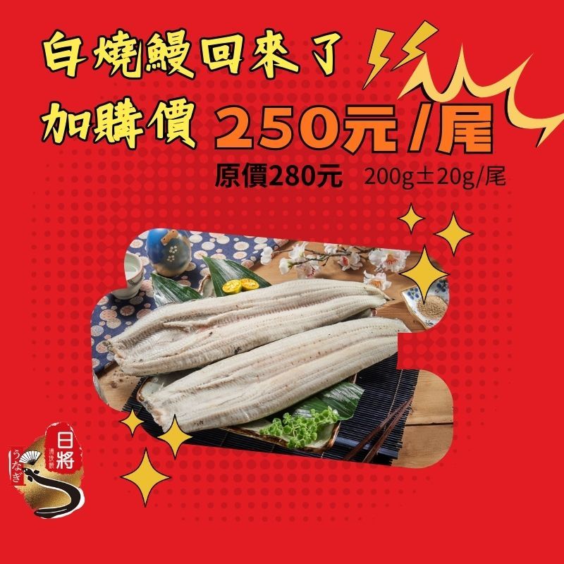 白燒鰻