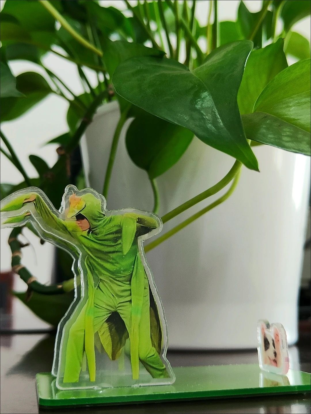 宋亞軒搬磚手機支架