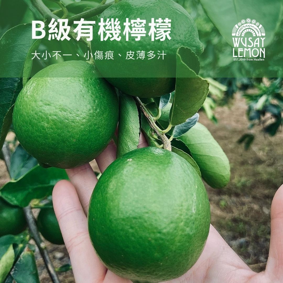 B級無籽檸檬/有機驗證（最多訂購7台斤/一箱）