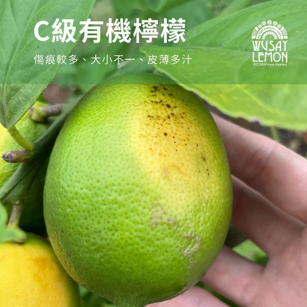 C級無籽檸檬/有機驗證（最多訂購7台斤）
