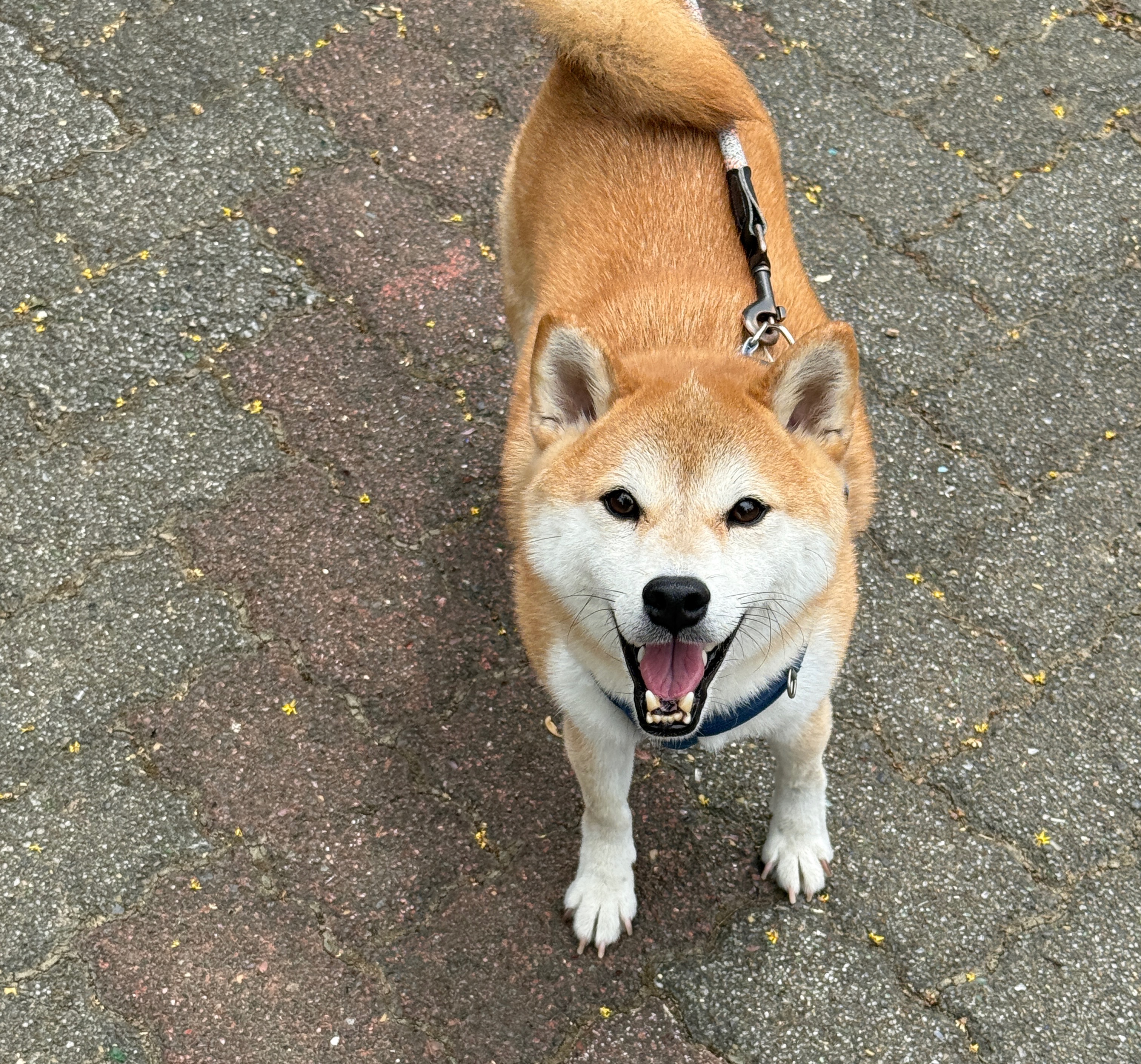 專屬賣場