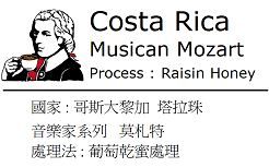音樂家系列