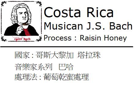 音樂家系列