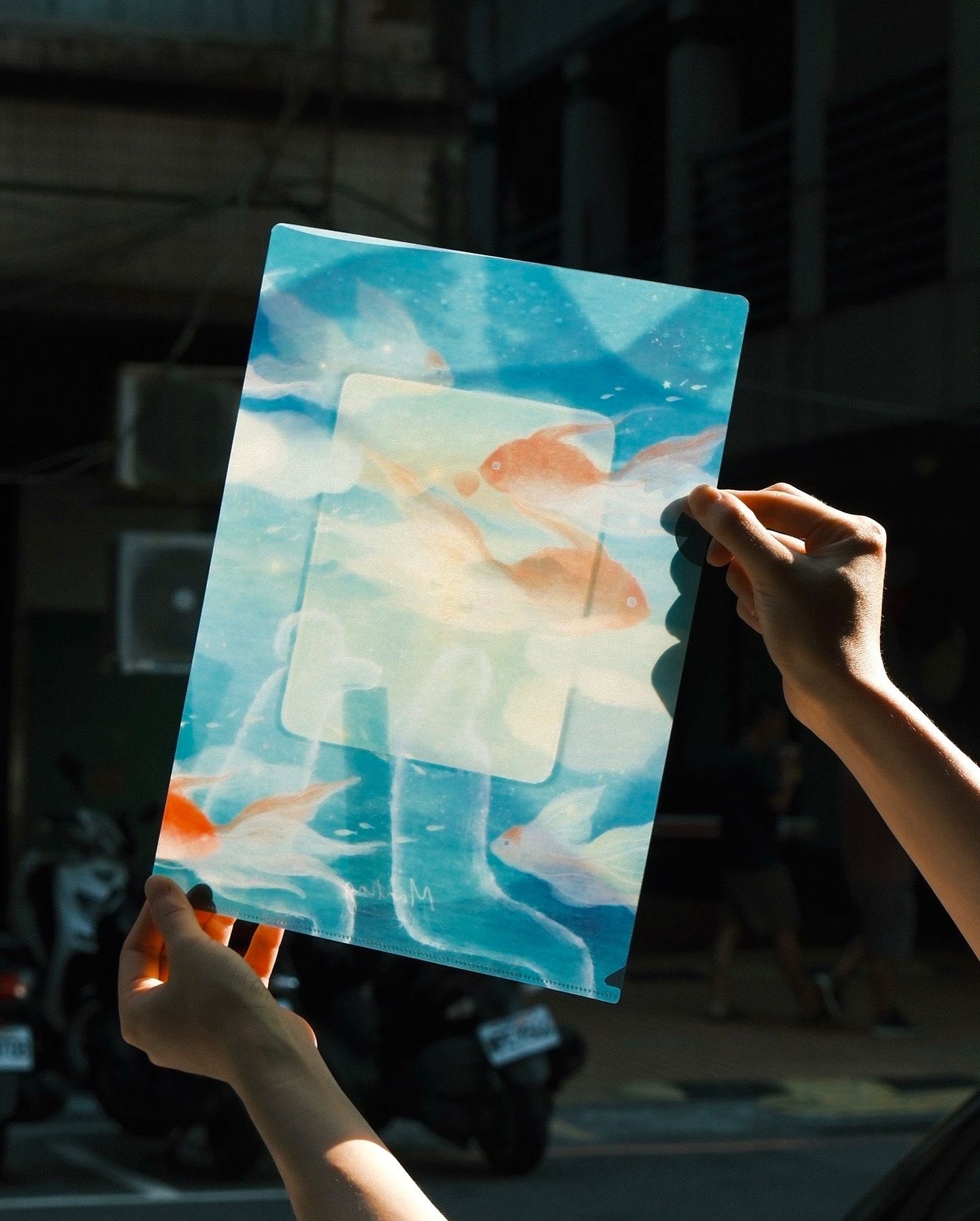 L型資料夾（兩款）