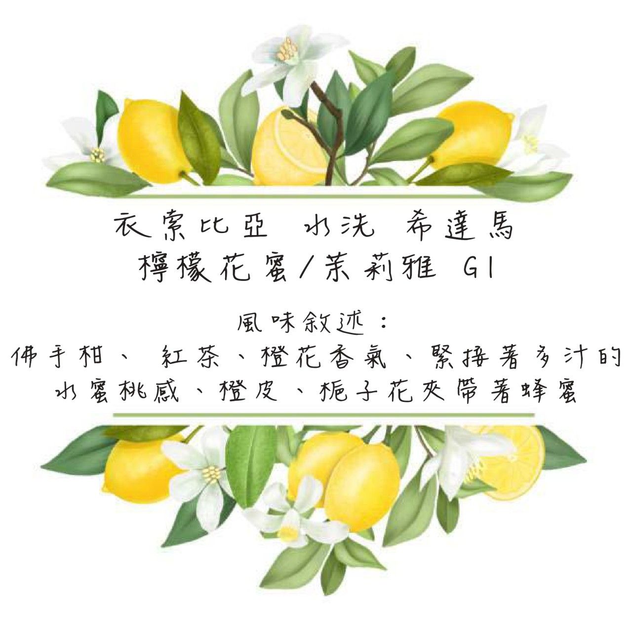 衣索比亞 水洗 希達馬 檸檬花蜜/茉莉雅 G1 21/02批次