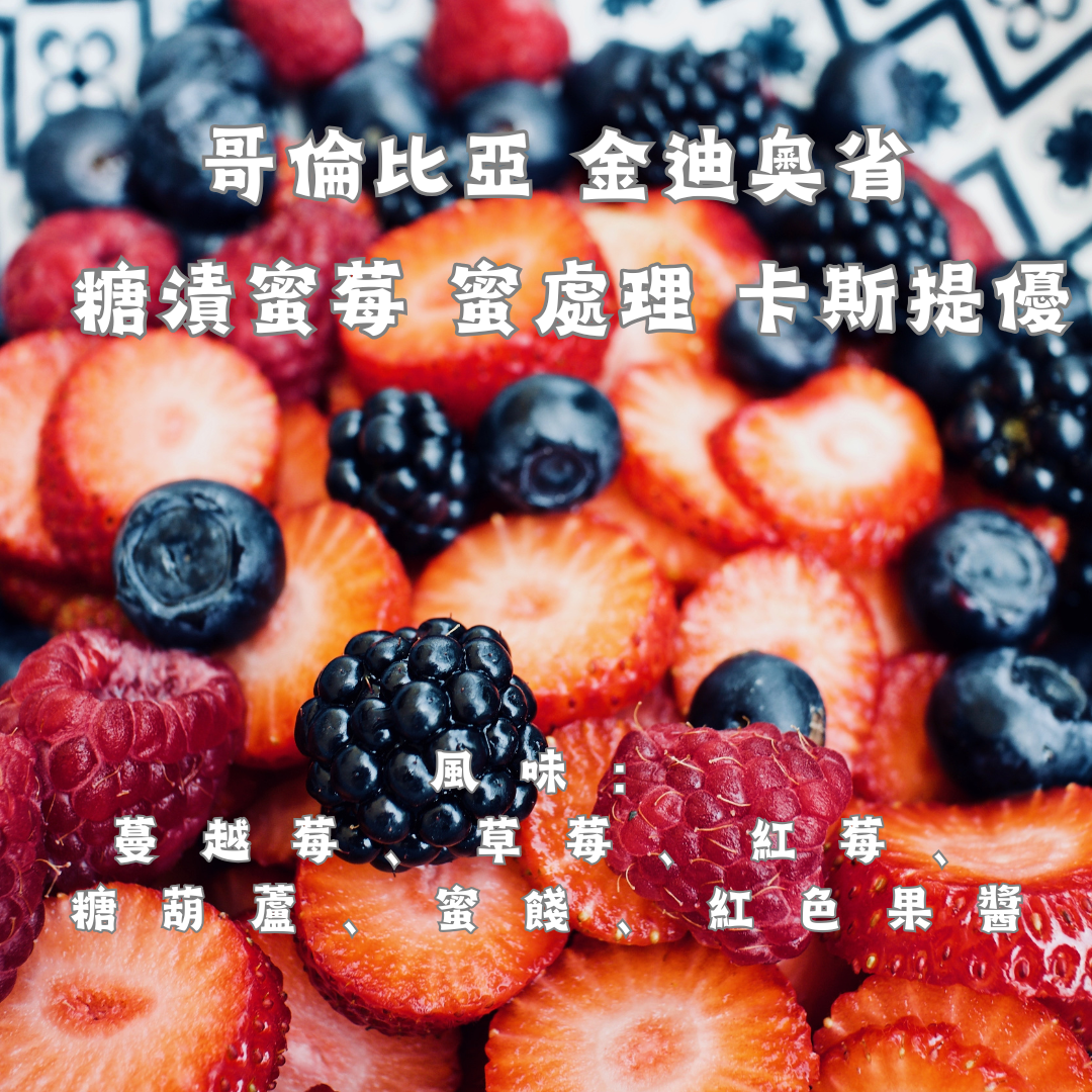 哥倫比亞 金迪奧省 糖漬蜜莓 蜜處理 卡斯提優