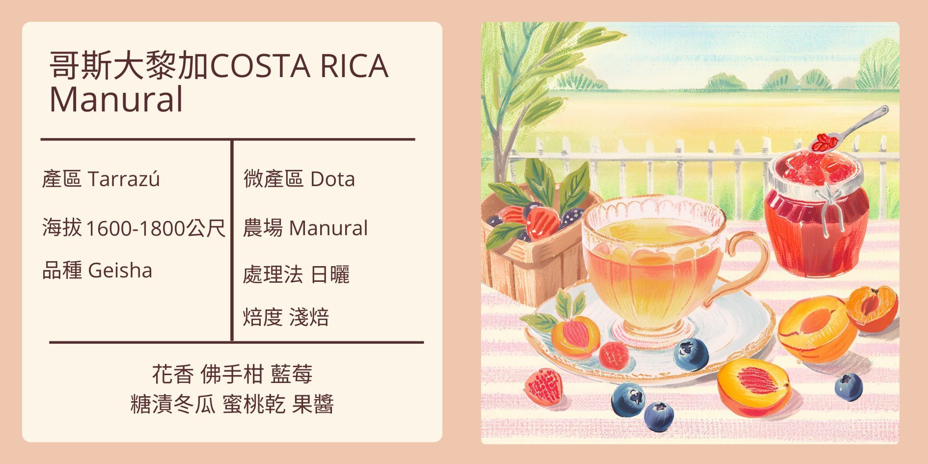 新到貨~COSTA RICA/Tarrazú/Dota/Manural 農場 微批次Geisha 日曬 淺焙