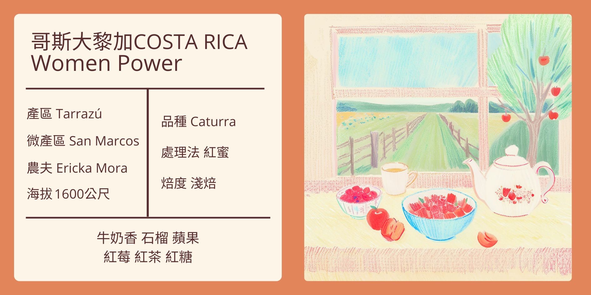 COSTA RICA/ San Marcos Women Power 卡杜拉紅蜜 淺焙
