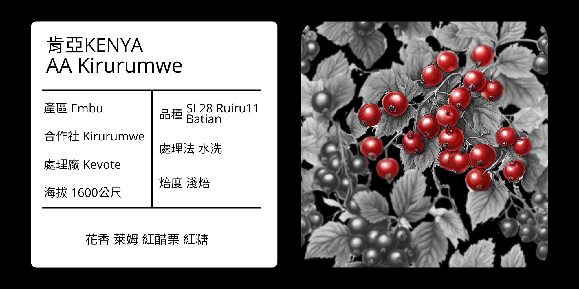 KENYA/ AA  Embu Kirurumwe  水洗 淺焙
