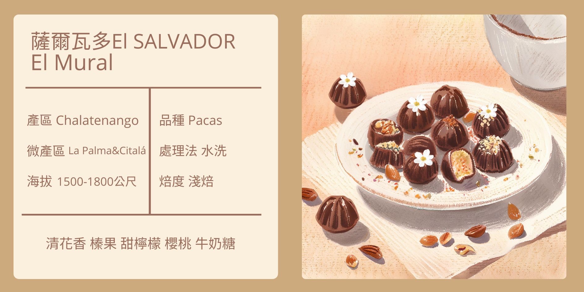 El SALVADOR/ Chalatenango El Mural Pacas 水洗 淺焙