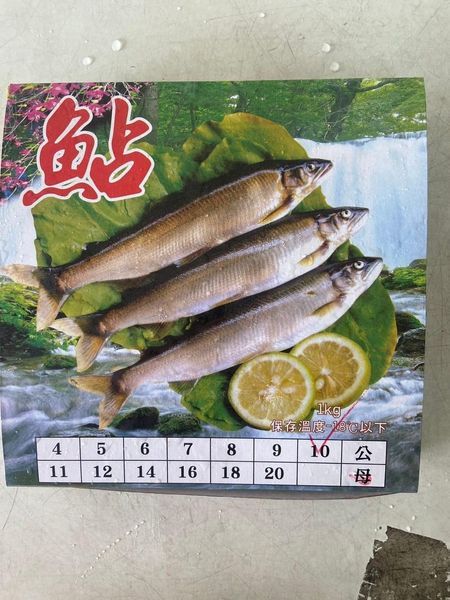 宜蘭母香魚10p /盒 （1000克）