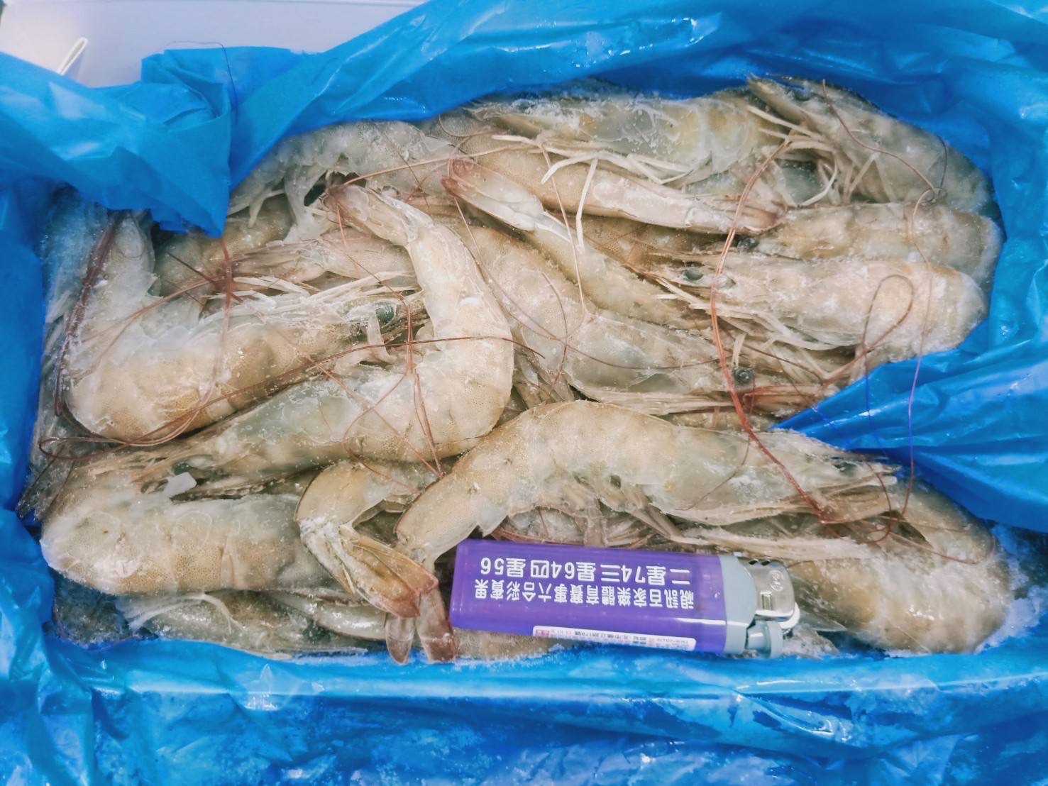 🌈厄瓜多紅太陽凍鮮白蝦20/30