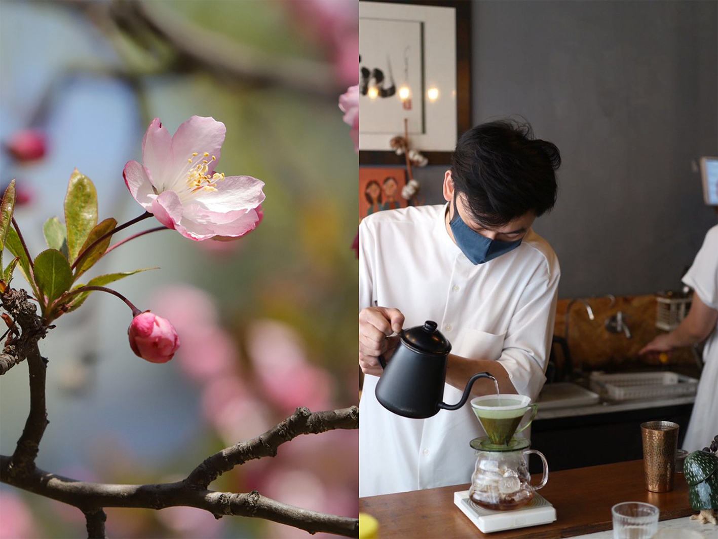 水洗處理法　花境藝伎（淺焙單品豆）notes:優雅細緻