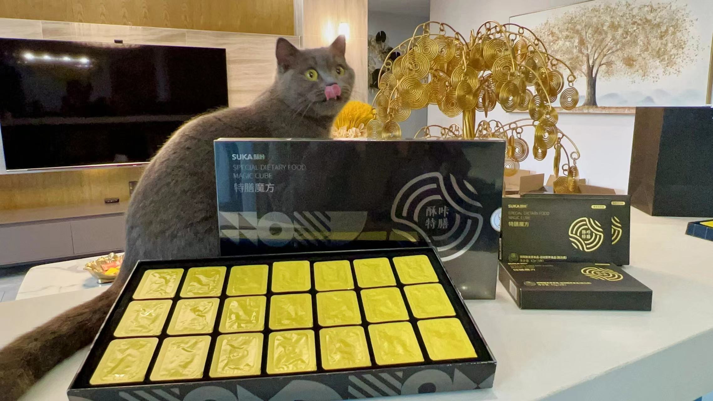 酥咔特膳魔方巧克力