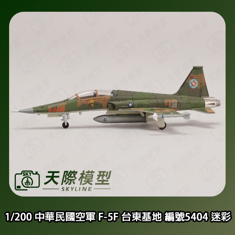 1/200 中華民國空軍 F-5F 台東基地 編號5404 迷彩塗裝