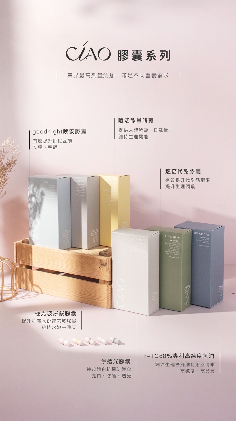 日喬恩B2B批發商
