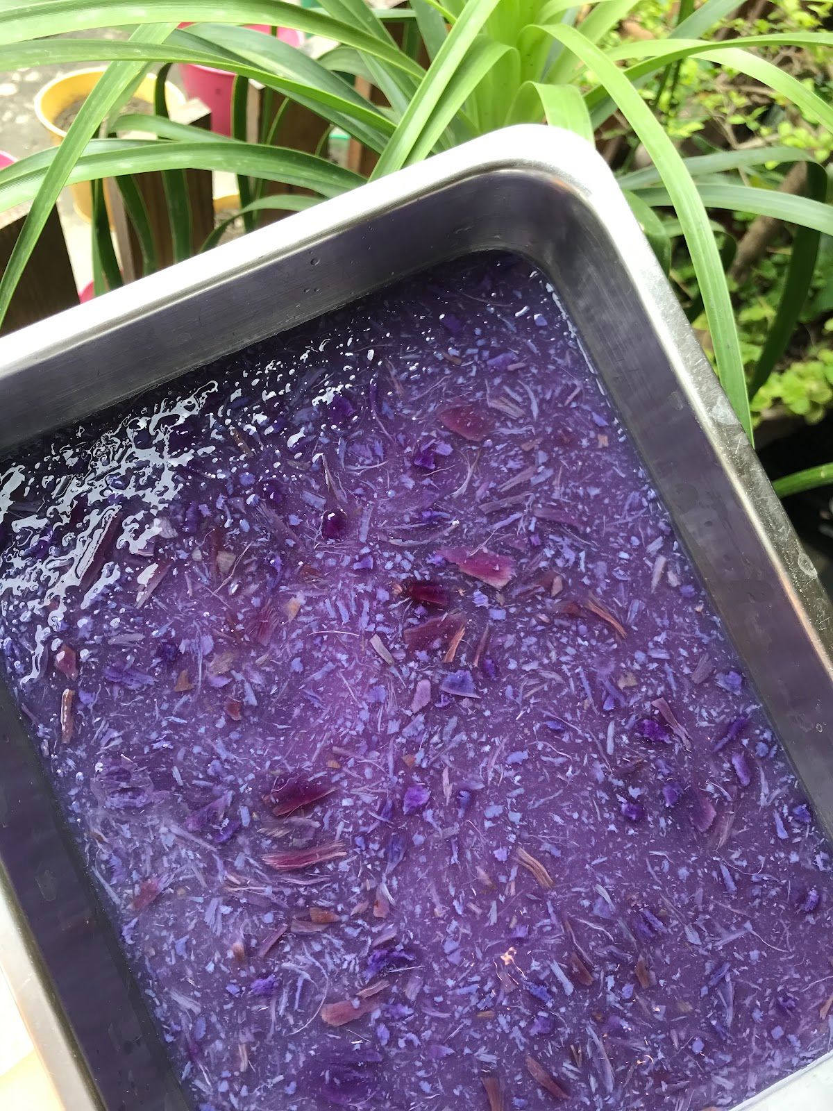 紫薯粉粿 200g  （完全退冰後，微波1分半~2分或水煮2~3分）