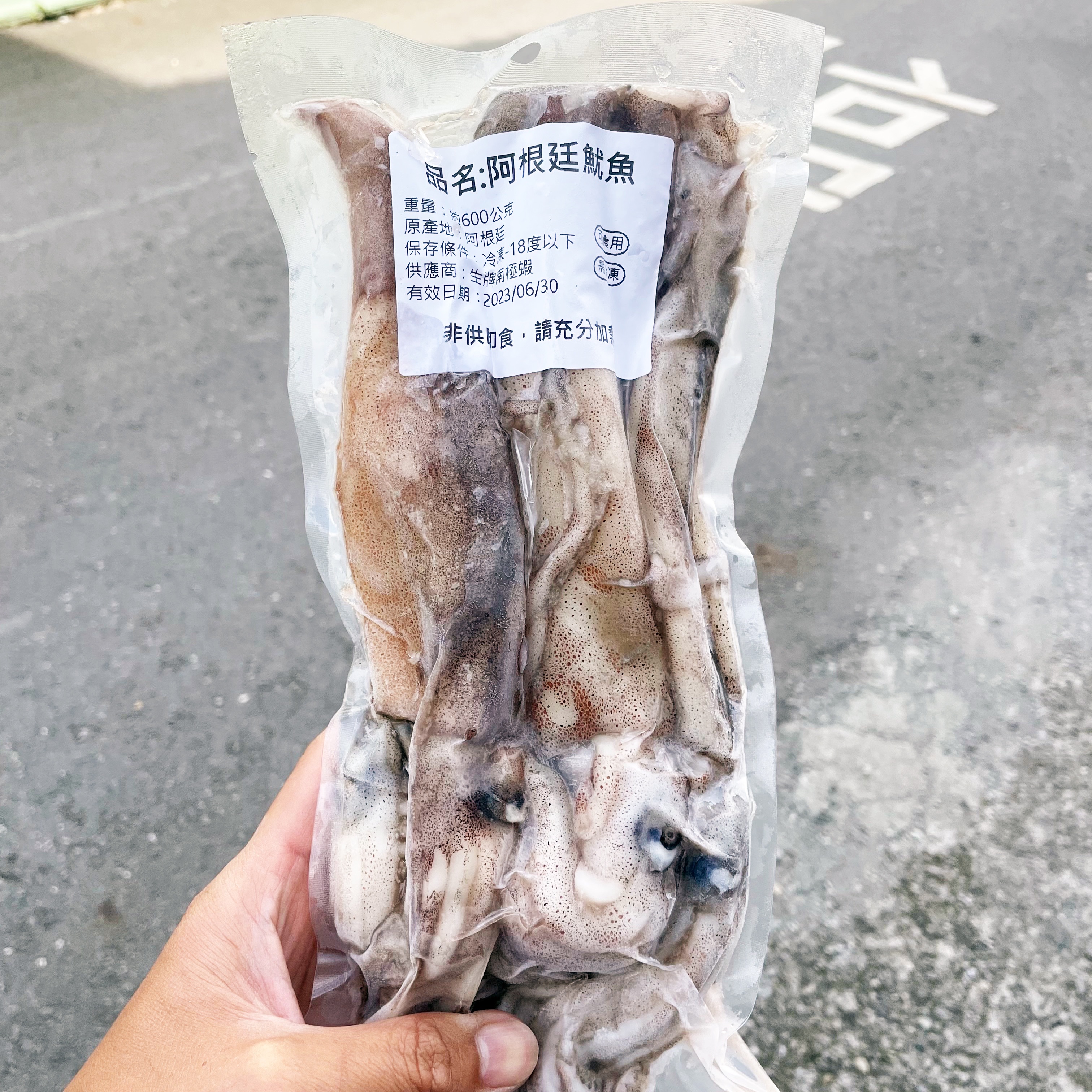 【可食用】整尾阿根廷魷魚