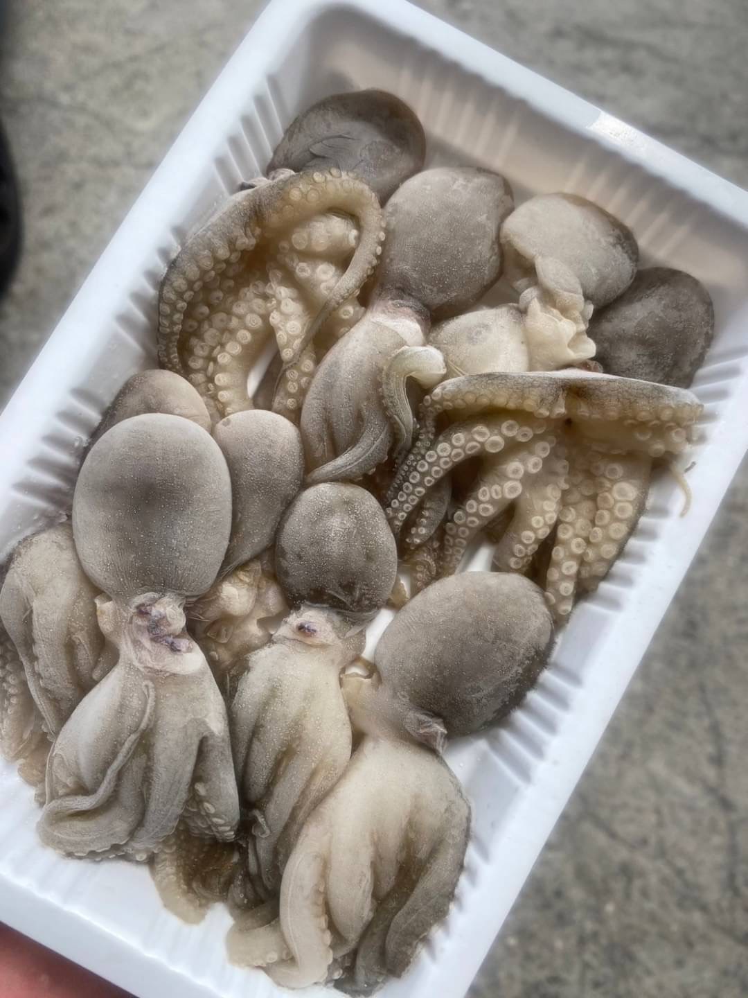 小章魚 一盒200克