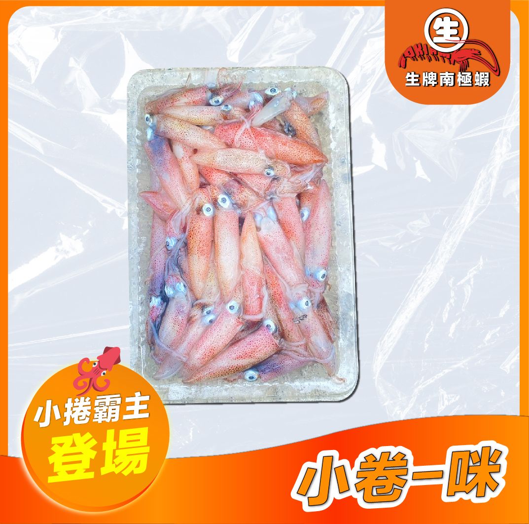 【可食用】生牌基隆盒裝小卷船凍300g