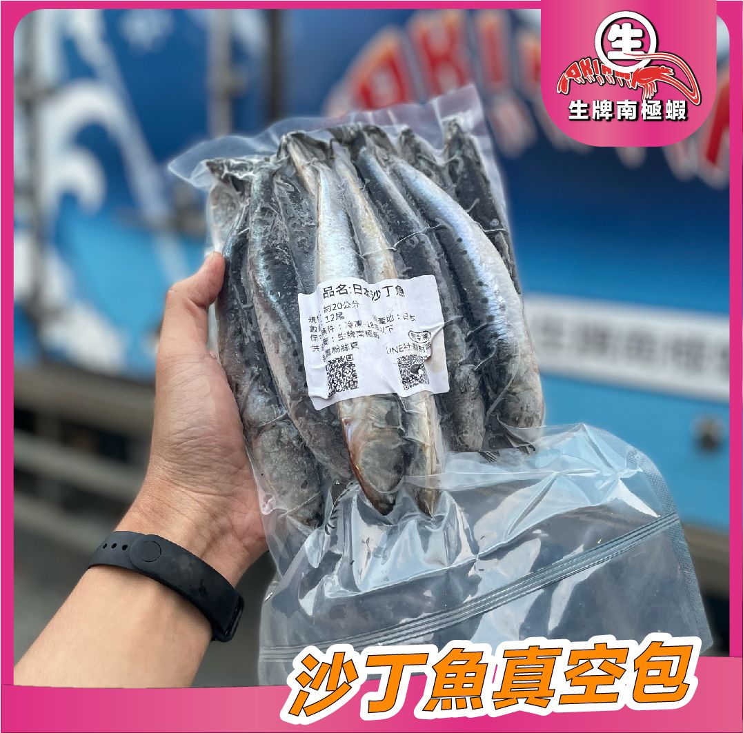 日本沙丁魚