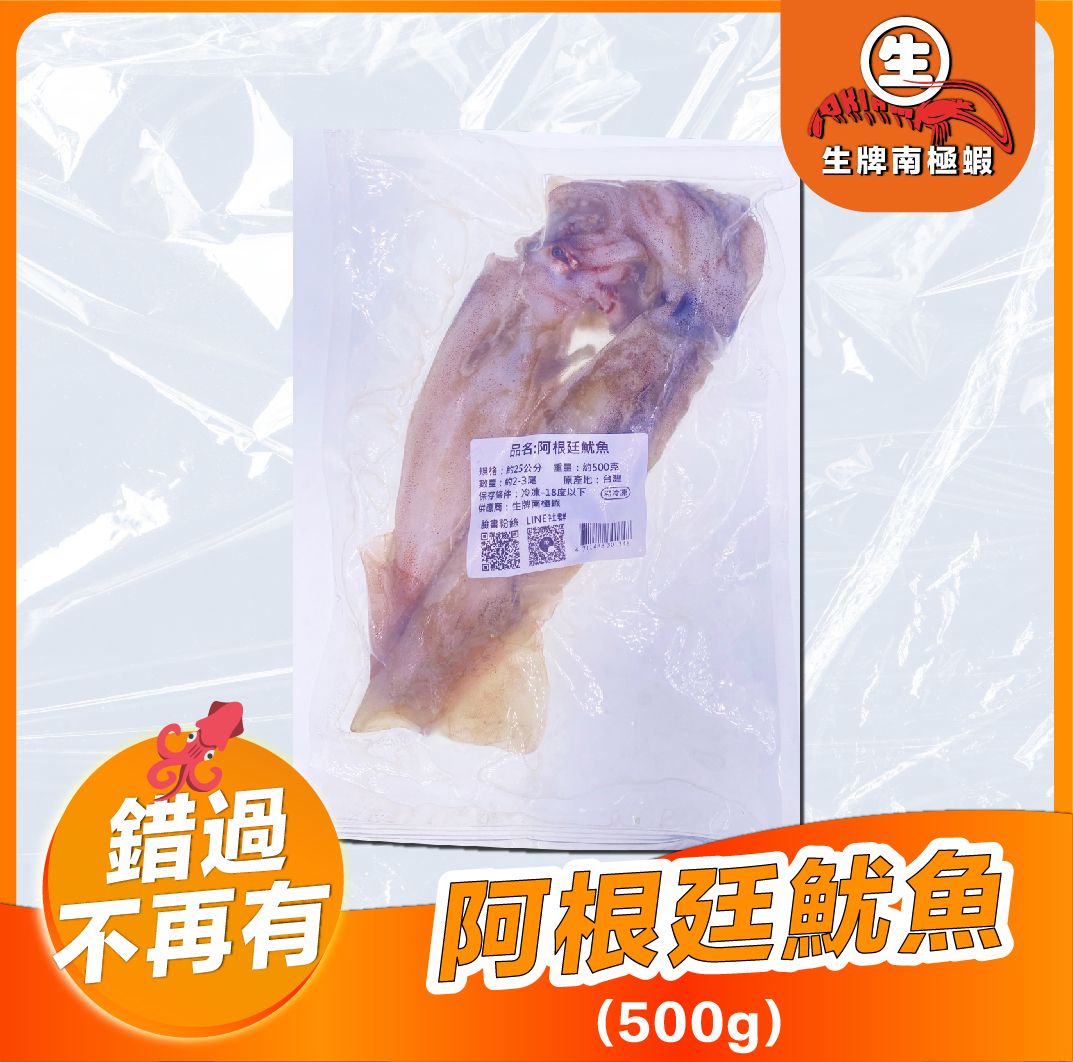 【可食用】整尾阿根廷魷魚
