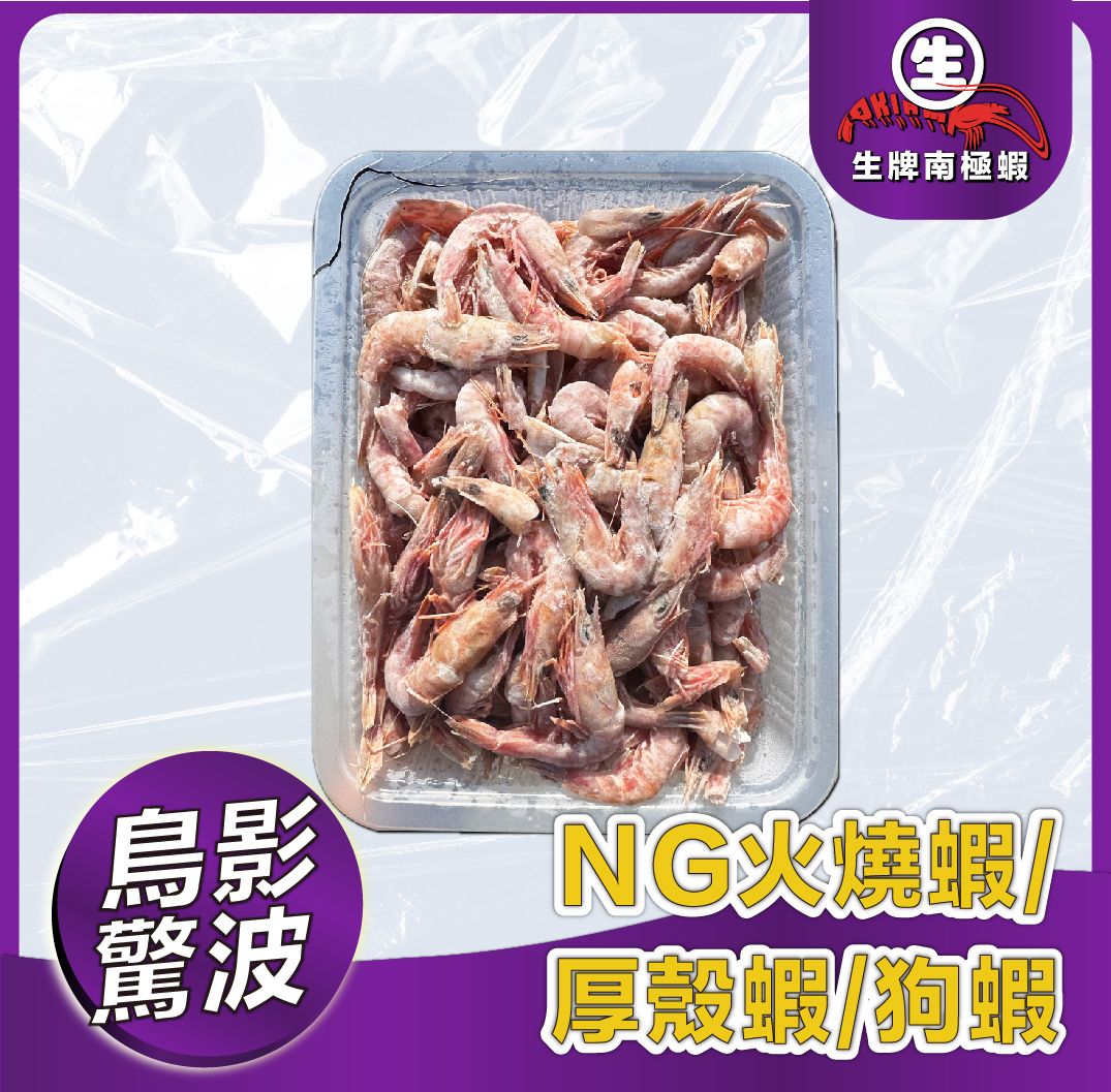 NG火燒蝦 厚殼蝦 狗蝦  海釣場 沉底 磯釣 船釣 大咬必備的神器之一 狗蝦仁