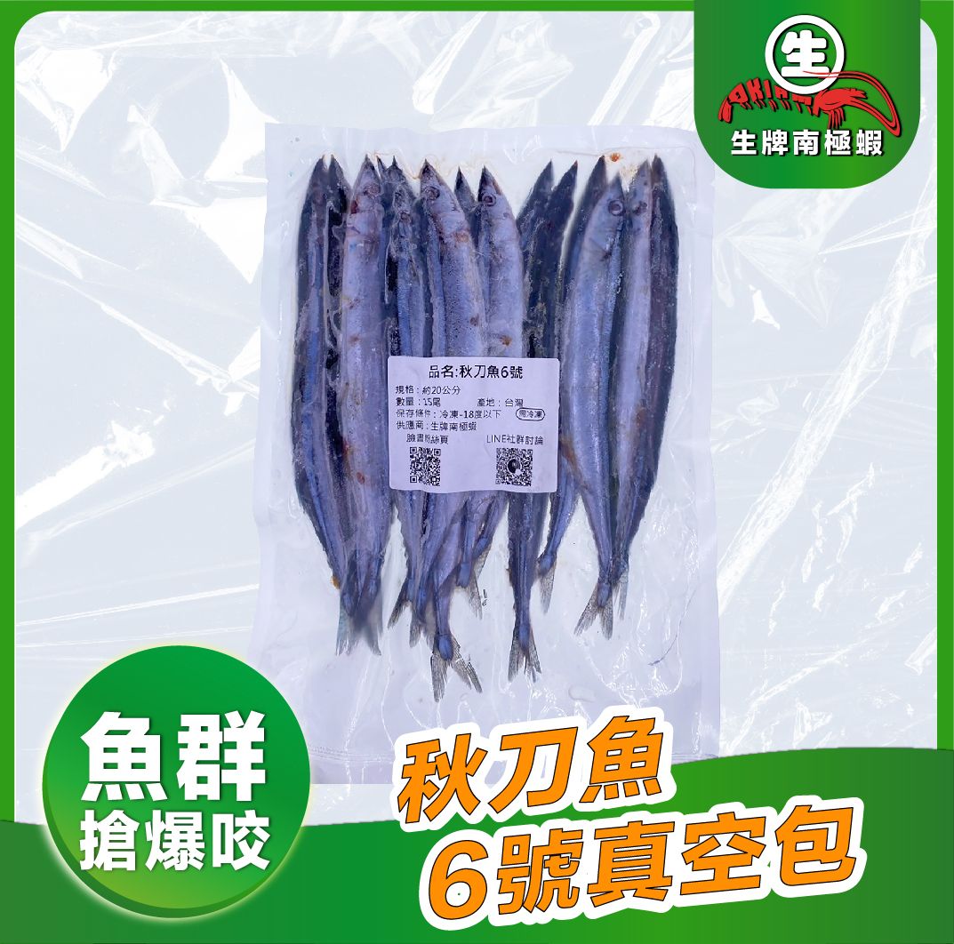 整尾秋刀魚6號 15尾入 長度約20公分