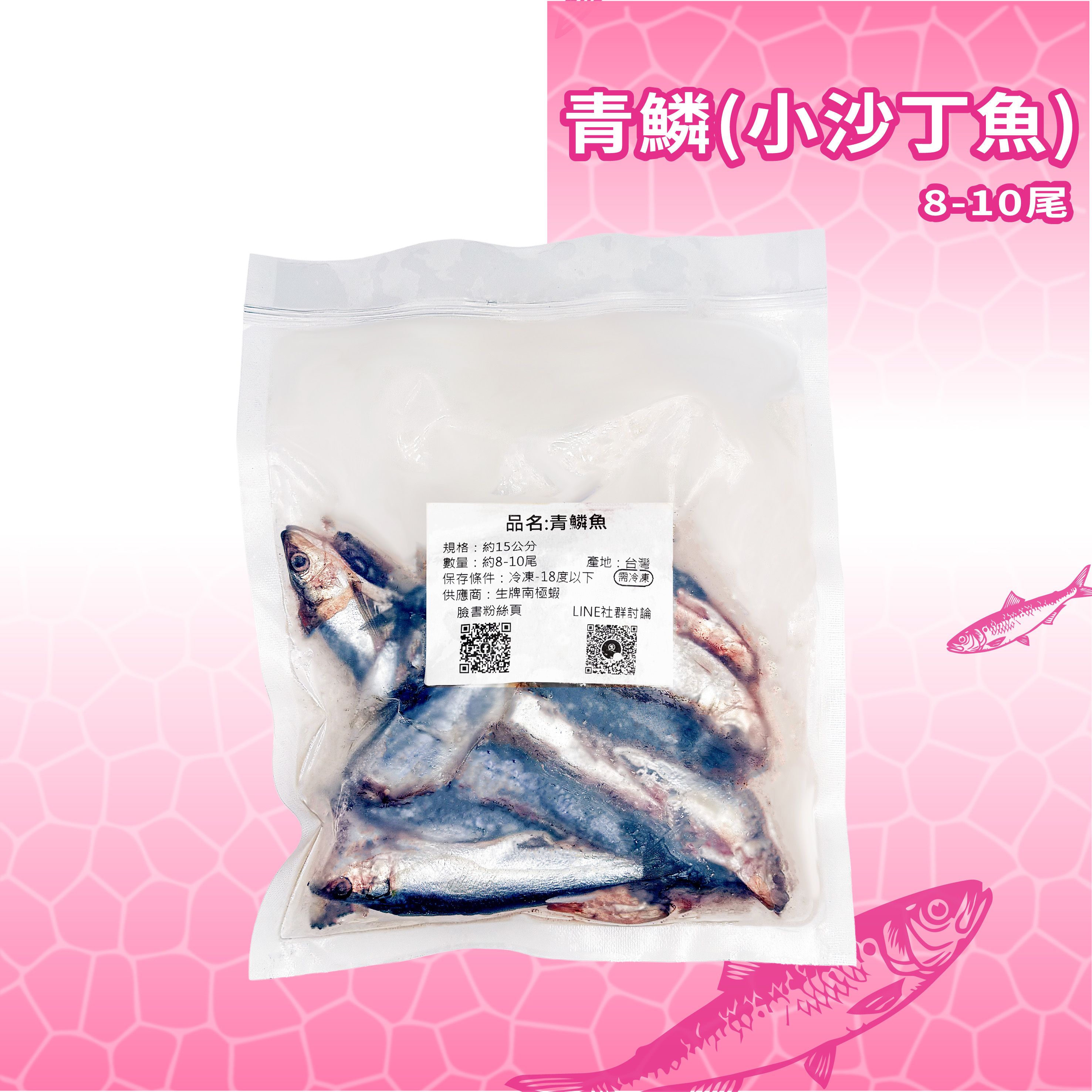 生牌 青鱗魚整尾（8-10尾）｜約15cm小沙丁魚亮皮肉餌 船釣夜釣白帶魚 岸拋遠投海釣場 登大物底棲神餌