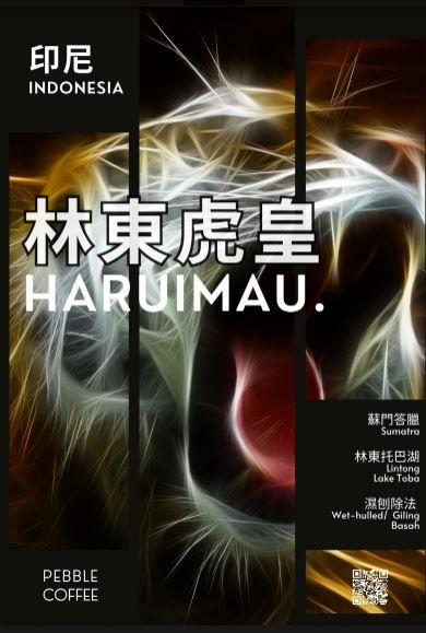蘇門答臘 虎皇 林東曼特寧 24/01 批次