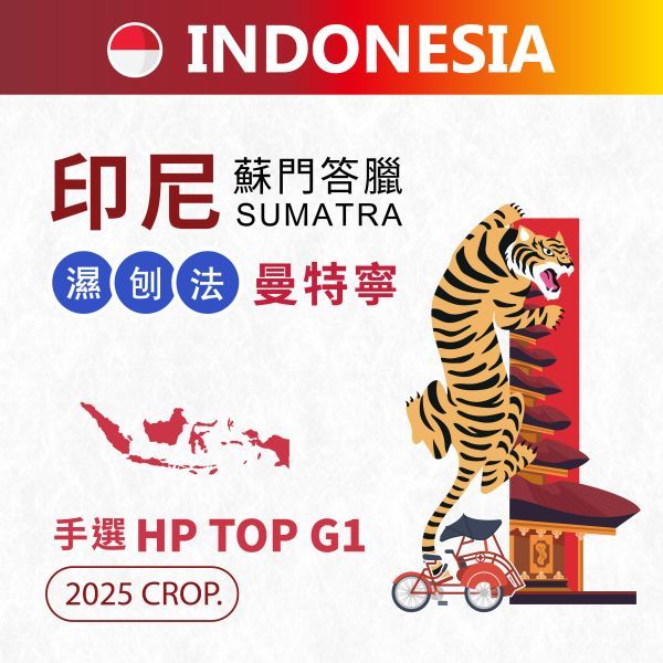 2025 印尼蘇門答臘曼特寧  手選 HP TOP G1