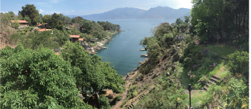 瓜地馬拉 法漢尼斯 雲霧莊園 藝伎 水洗