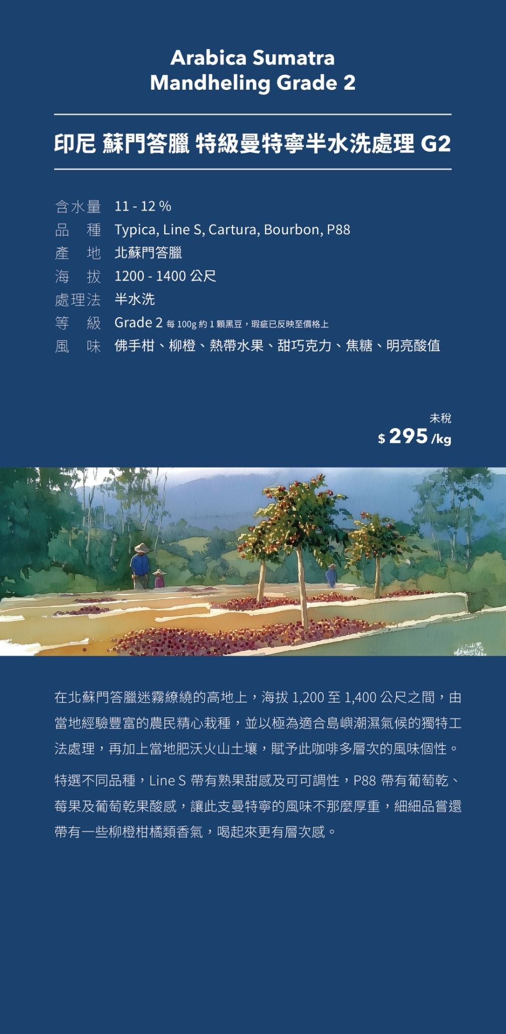 印尼 蘇門答臘 特級曼特寧 半水洗處理 G2