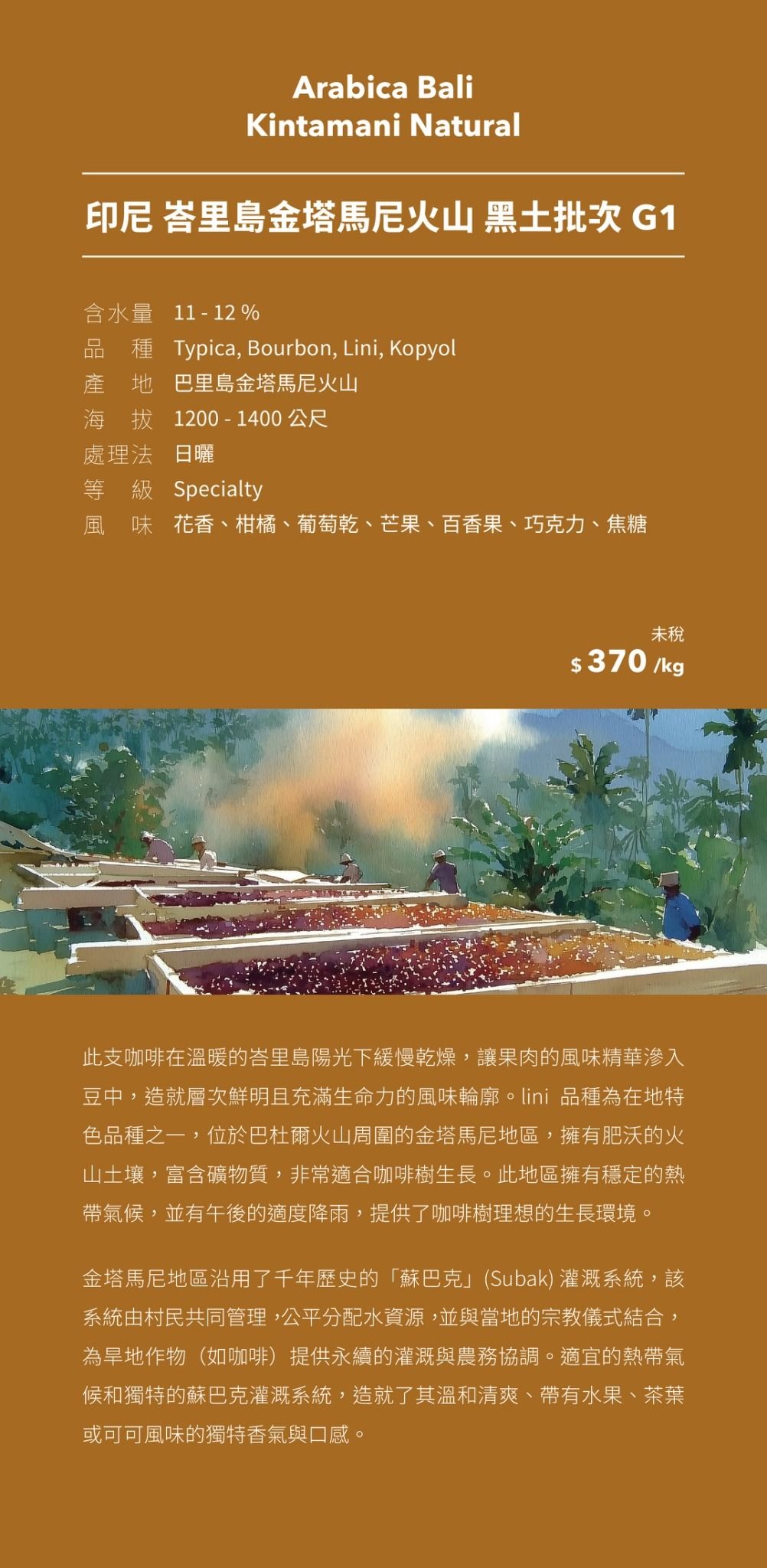 印尼 峇里島 金塔馬尼火山 黑土批次 G1