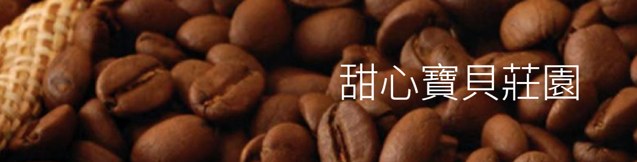 薩爾瓦多 波旁 甜心寶貝蜜處理