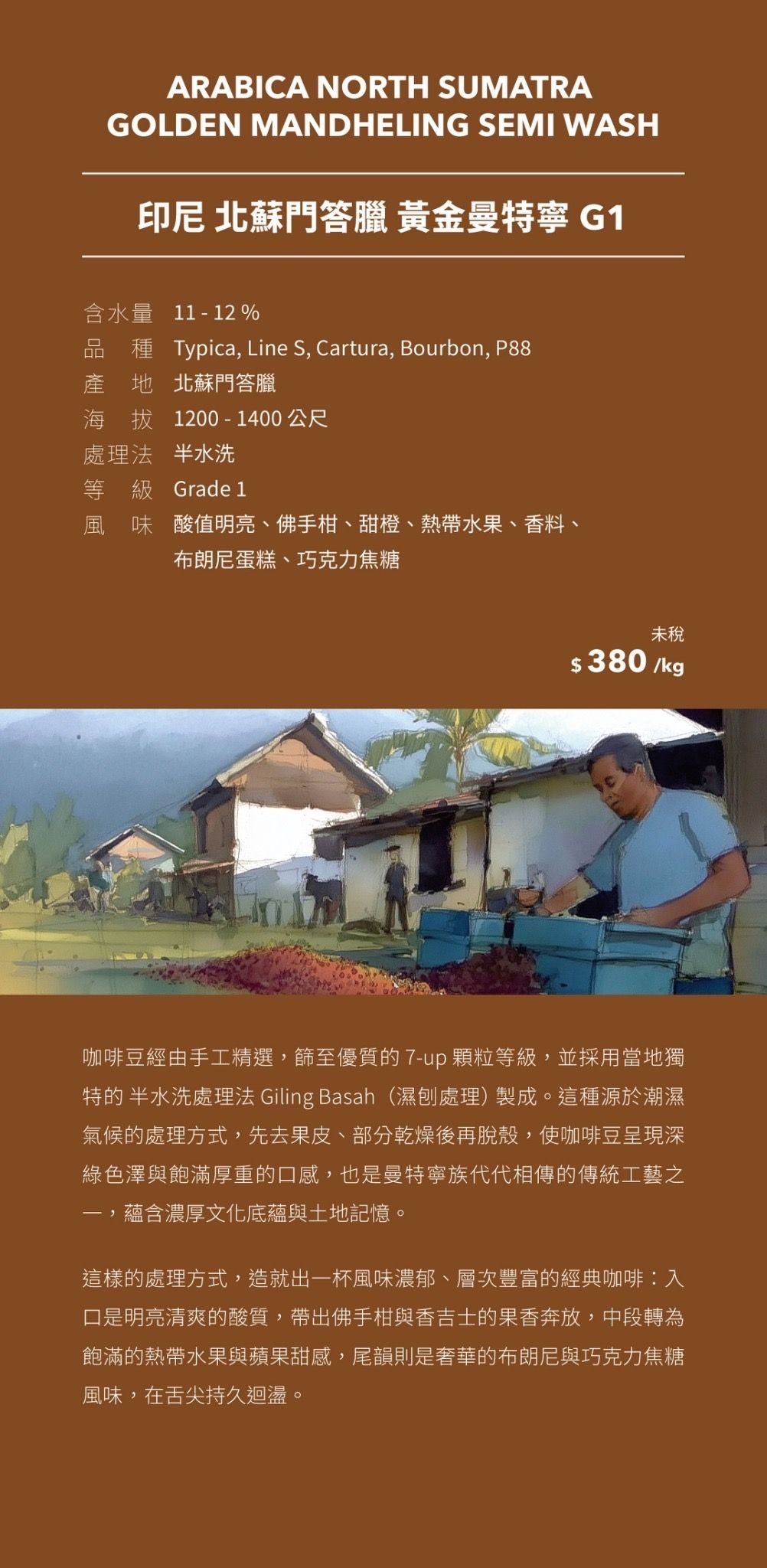 印尼 北蘇門答臘 黃金曼特寧 G1