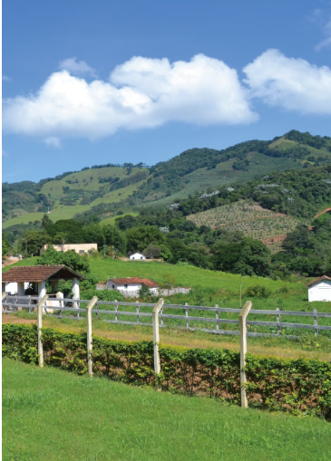 印尼 羅布斯塔 日曬 G1