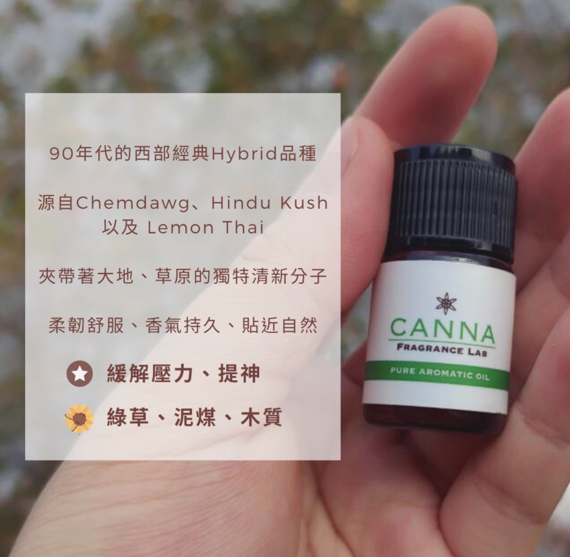 「Canna」風味萜烯 台灣製造 3ml