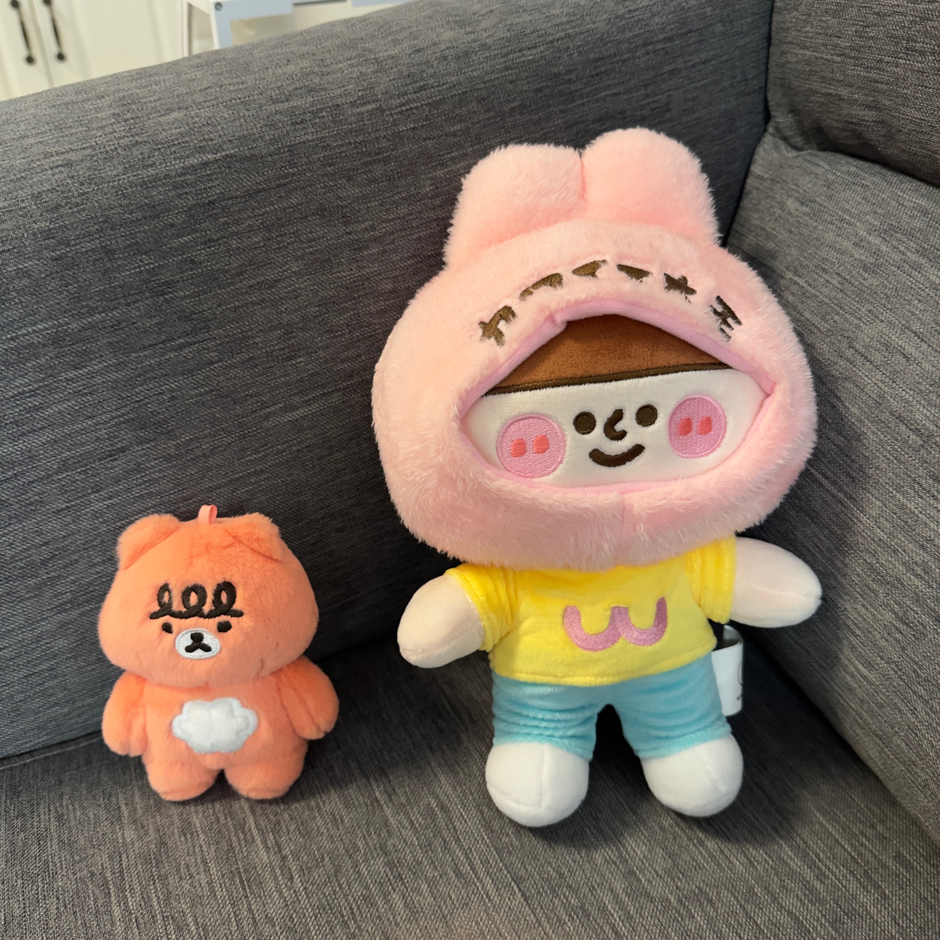 weiweiboy #可愛大王絨毛娃娃 #毛毛熊娃娃