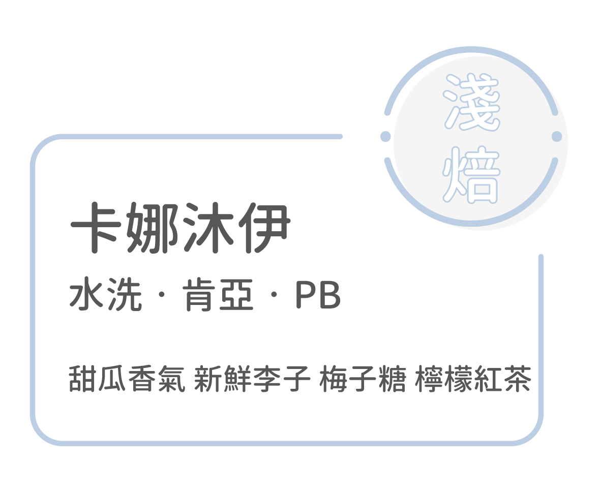 New 淺焙【 卡娜沐伊 】水洗 肯亞 PB