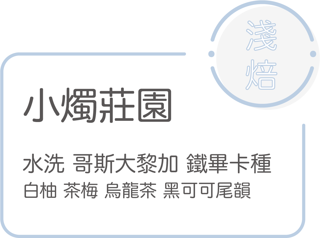 New 淺焙【小燭莊園】水洗 哥斯大黎加 鐵畢卡