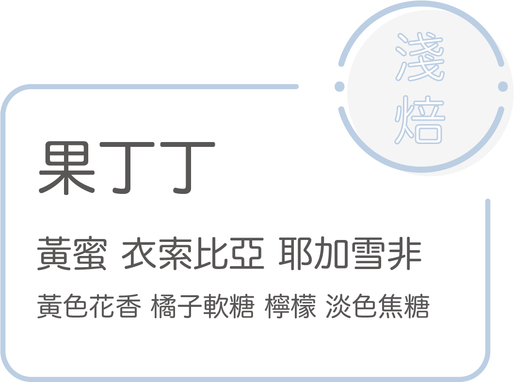 New 淺焙【果丁丁】黃蜜處理 衣索比亞 耶加雪菲