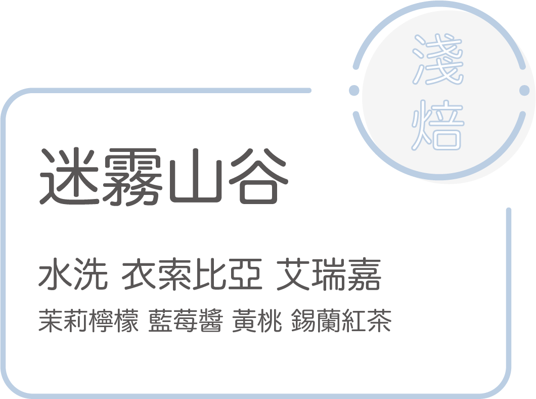 New 淺焙【迷霧山谷】水洗 衣索比亞 艾瑞嘉