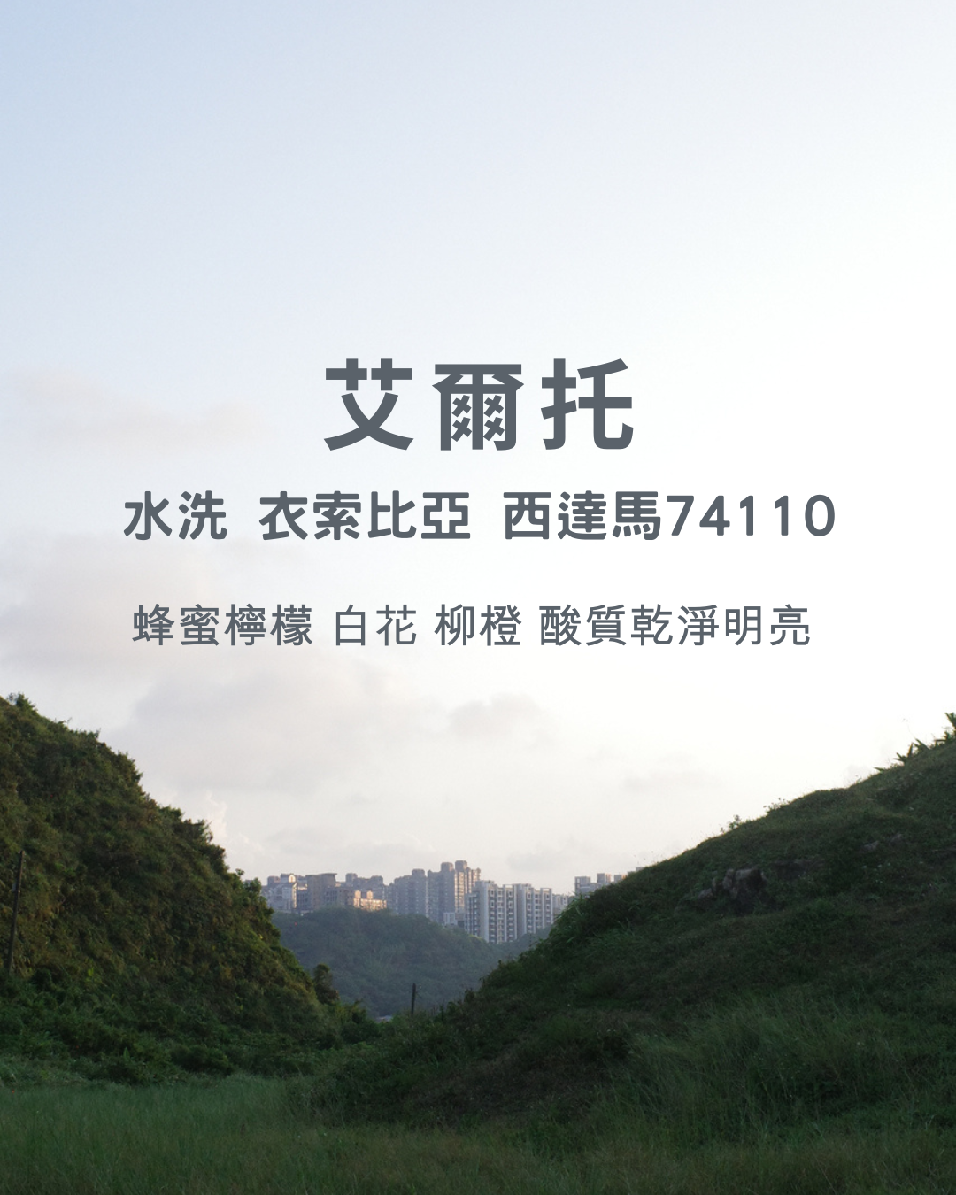 New 淺焙：【 艾爾托 】水洗 衣索比亞 西達馬